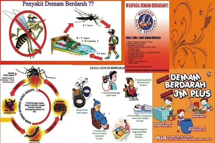 Dua Warga Kecamatan Cipocok Jaya Kota Serang Terjangkit DBD