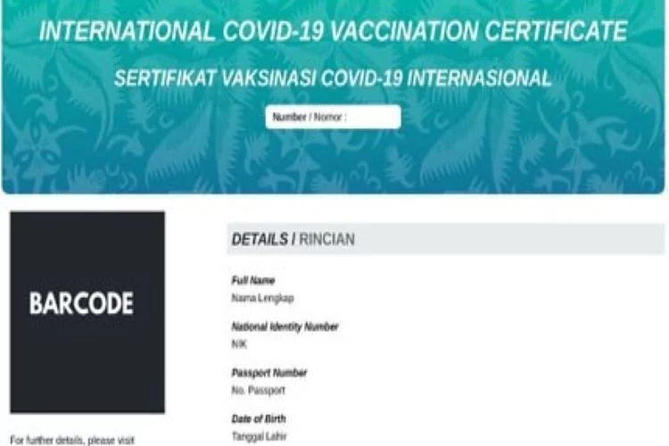 Ini Cara Mendapat Sertifikat Vaksin Internasional Standar WHO, Dijamin Diakui Banyak Negara