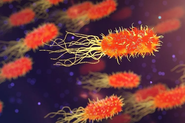 'NeoCov' Varian Baru Coronavirus Baru dengan Tingkat Kematian Tinggi, Begini Kata Ilmuwan Wuhan