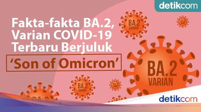 Fakta-fakta Omicron 'Siluman' BA.2 yang Sudah Ada di Indonesia