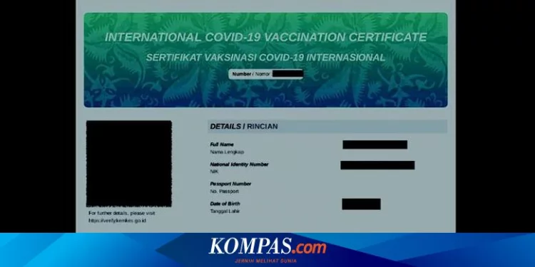 Cara Cek dan Download Sertifikat Vaksin Internasional lewat HP Halaman all