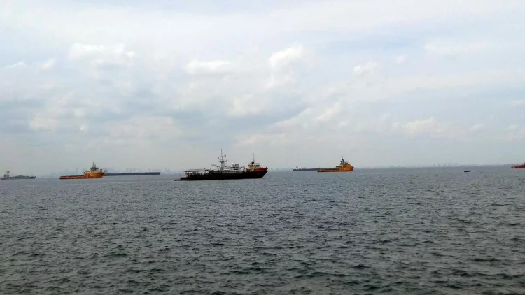 Tanjung Pinggir Batam Dinilai Tak Pas Jadi Hub Pelabuhan Internasional