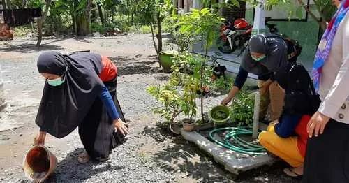 Sebulan 21 Kasus Kematian 2 Orang, Waspadai Penyakit Demam Berdarah Dengue