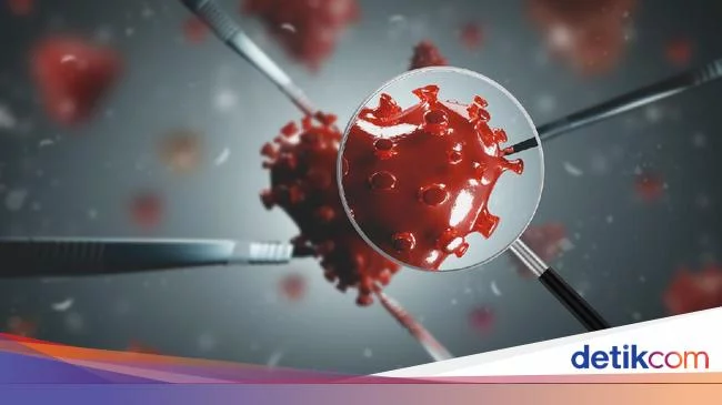 Ilmuwan Sengaja Masukkan COVID-19 ke Manusia, Begini Hasilnya