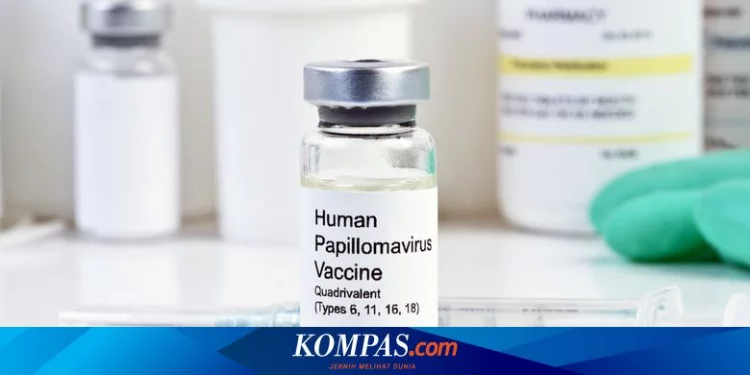 Kapan Waktu Terbaik Lakukan Vaksinasi HPV untuk Cegah Kanker Serviks? Halaman all