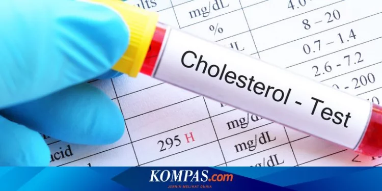 Mengapa Menopause Dapat Menyebabkan Kolesterol Tinggi? Halaman all