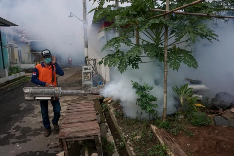 Dinkes Tulungagung Galakkan Pengasapan di Lokasi Endemis DBD