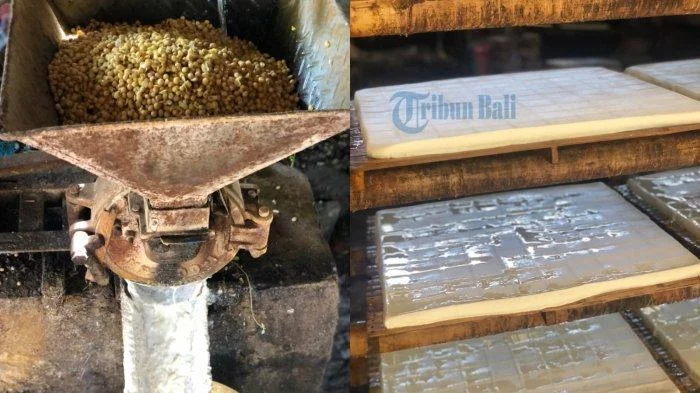 Produsen Tahu di Denpasar Ini ‘Menjerit’, Harga Kedelai Mahal, Aang Siasati dengan Perkecil Ukuran - Tribun-bali.com