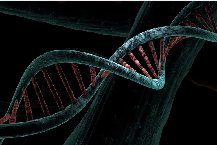 Ilmuwan Sebut Temukan 16 Varian Genetik pada Pasien Covid-19, Mampu Rentan pada Hal Ini