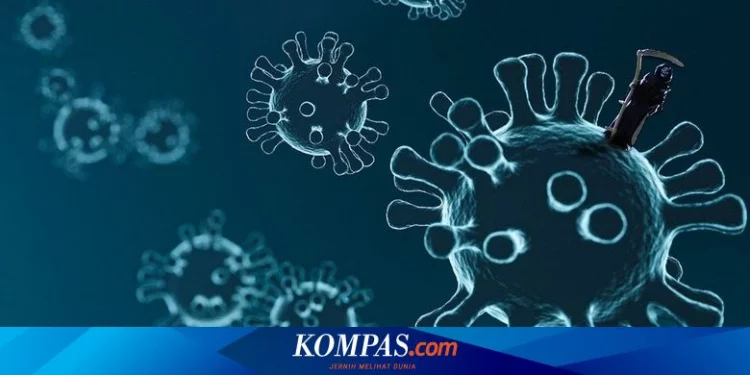 Tren Kasus Covid-19 Menurun dan Sederet Pelonggaran Aktivitas Transisi Menuju Kondisi Normal Halaman all