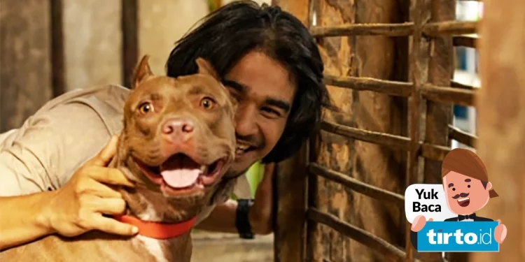 Sinopsis Marley, Film Indonesia Pertama dengan Tokoh Utama Anjing