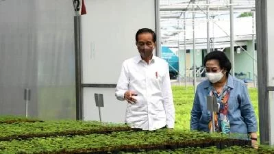 Jokowi Siap Hadapi Gugatan Demi Setop Ekspor Bauksit Tembaga Timah