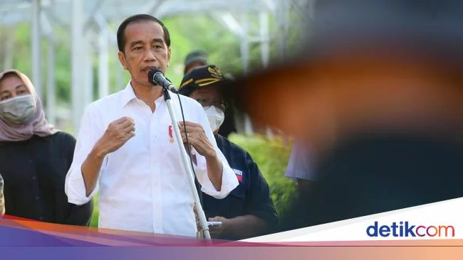 Jokowi Ungkap Alasan Pemerintah Subsidi Minyak Goreng Curah