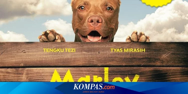 Sinopsis Film Marley, Tampilkan Anjing Pitbull sebagai Tokoh Utama
