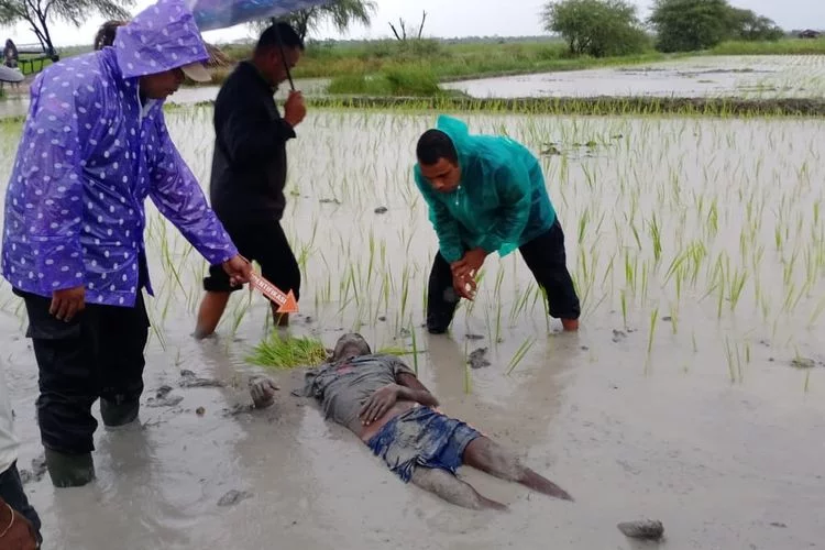 Istri Menolak Ajakan Karena Hujan Petir, Pria ini Paksa Diri Masuk Sawah Hingga Terjadi Peristiwa Memilukan