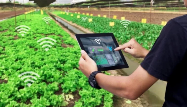 Peran Teknologi Informasi dalam Komunitas Pertanian