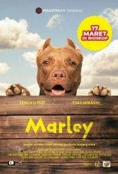 Sinopsis Film Marley, Kisah Persahabatan Manusia dan Anjing yang Sedang Tayang di Bioskop