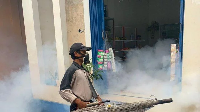 Antisipasi Demam Berdarah dan Cikungunya, Dinas Kesehatan Denpasar Lakukan Fogging di Dauh Puri - Tribun-bali.com