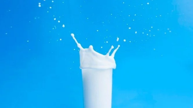 Susu Bisa Tingkatkan Kolesterol Jahat, Benarkah?