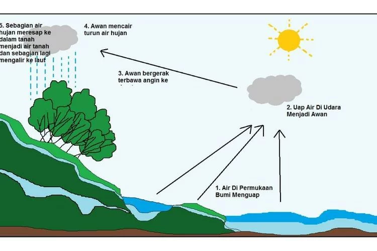 Siklus Air Tanah Peristiwa 1, 2, 3 Urutan Peristiwa Siklus Air Dalam Diagram Alir! Kunci Jawaban Kelas 5 SD