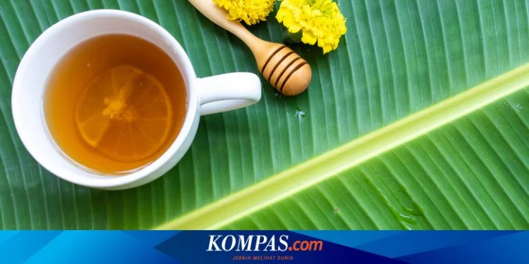 7 Minuman Herbal Obat Sakit Tenggorokan Alami Halaman all