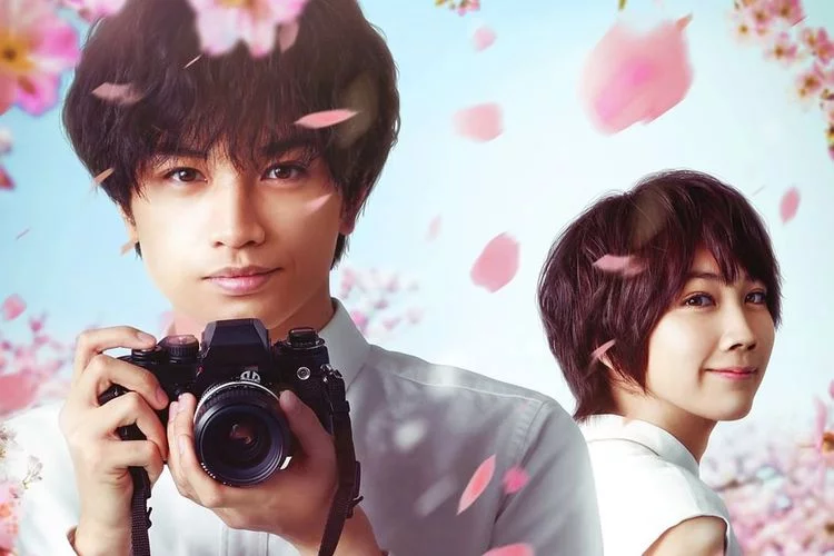 Link Nonton dan Sinopsis Film Jepang Love Like the Falling Petals, Netflix Original Dibintangi Kento Nakajima