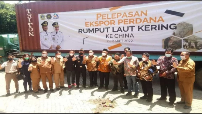 Diekspor ke China, Rumput Laut Kering Produk UMKM Gresik Tembus Pasar Internasional