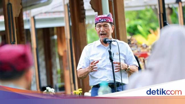 Buka-bukaan Apdesi Pendukung Jokowi 3 Periode soal Luhut di Dewan Pembina