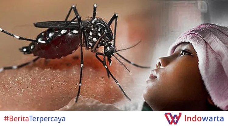 There are many cases of dengue fever, these are 3 patient medical conditions that you need to know