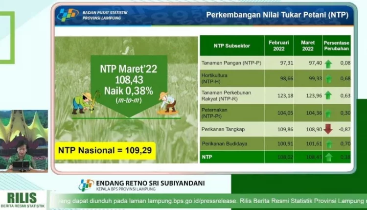 Nilai Tukar Petani Lampung Naik 0,38%