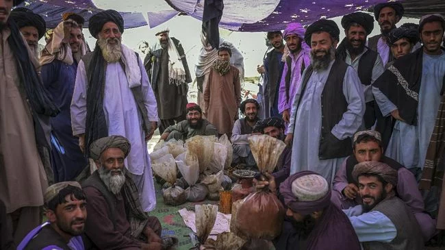 Taliban Larang Tanam Opium, Sejumlah Anggota Diduga Bakal Berontak