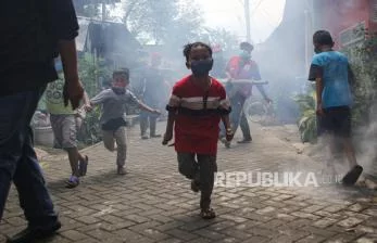 Dinkes Sikka: DBD Kembali Merenggut Nyawa Seorang Anak