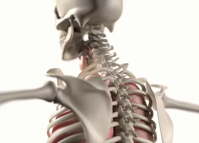 Bagaimana Cara Usia Mempengaruhi Tulang Manusia?
