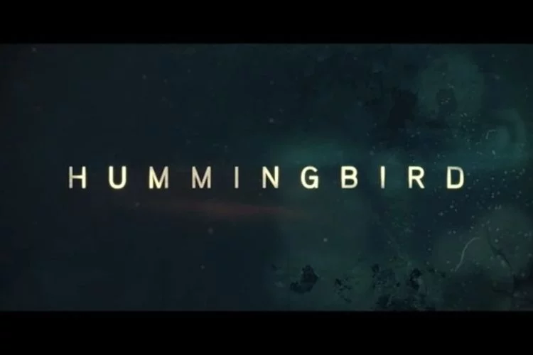 Sinopsis Film Hummingbird, Aksi Jason Statham Berperan Sebagai Joey Sebagai Tunawisma di London