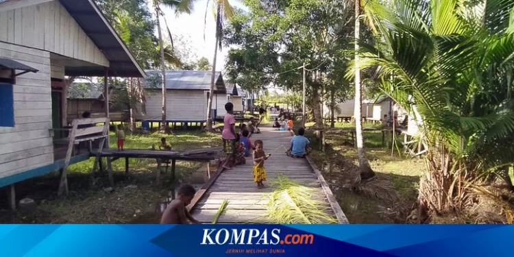 Mengenal Daerah yang Menjadi Calon Provinsi Baru Papua Selatan Halaman all