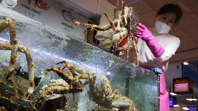 Kepiting Rusia Serbu Pasar Korea Selatan, Konsumen Hadapi Dilema