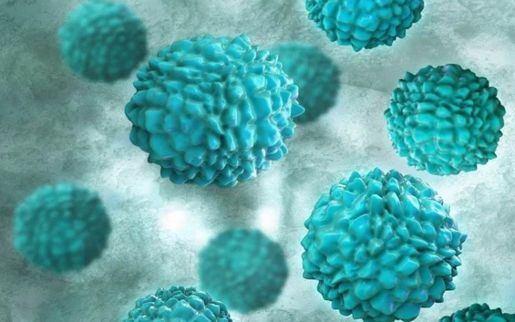 6 Tanda Terinfeksi Norovirus dan Cara Setop Penyebarannya