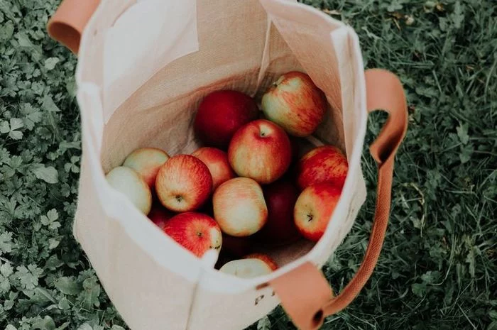 Tak Hanya Buah Apel, 7 Makanan yang Mengandung Karbohidrat Ini Terbaik untuk Menurunkan Kolesterol Jahat, Wajib Dicoba! - Semua Halaman