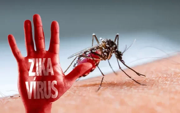 Apa Itu Virus Zika? Penyebab, Gejala dan Cara Pengobatannya