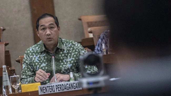 Dorongan Mendag Diperiksa di Kasus Ekspor CPO dan Sentilan Jokowi