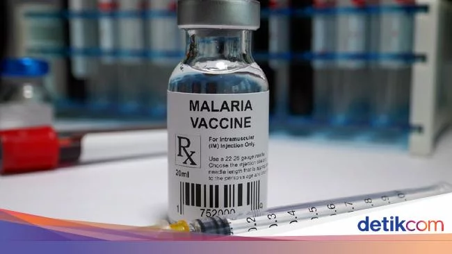 Kapan Indonesia Pakai Vaksin Malaria Rekomendasi WHO? Ini Tanggapan Kemenkes