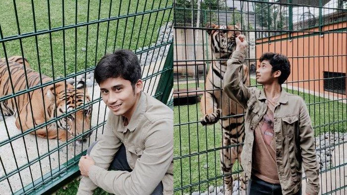 PROFIL Alshad Ahmad, Kekasih Tiara Andini yang Tuai Pro Kontra setelah Komentari Kematian 3 Harimau