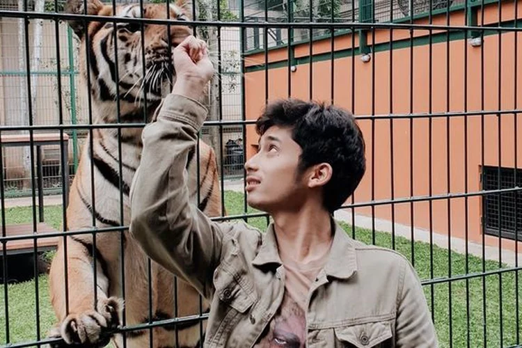 Alshad Ahmad Dikecam karena Komentari 3 Harimau Mati di Aceh, Netizen Soroti Nasib Jinora, Eshan, dan Selen - Pikiran-Rakyat.com