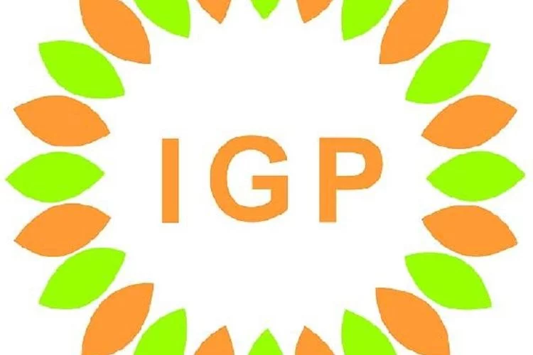 PT IGP Internasional Buka Lowongan Management Trainee dan 2 Formasi Umum untuk S1, Cek Syarat-Cara Daftarnya