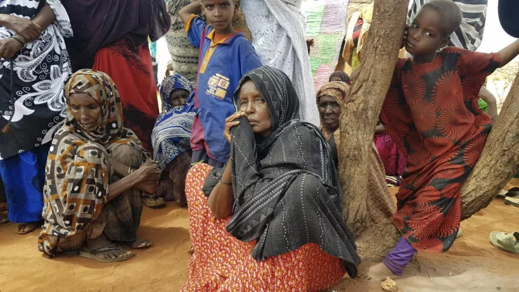 UNICEF Desak Masyarakat Internasional Bantu Kekeringan di Ethiopia dan Somalia