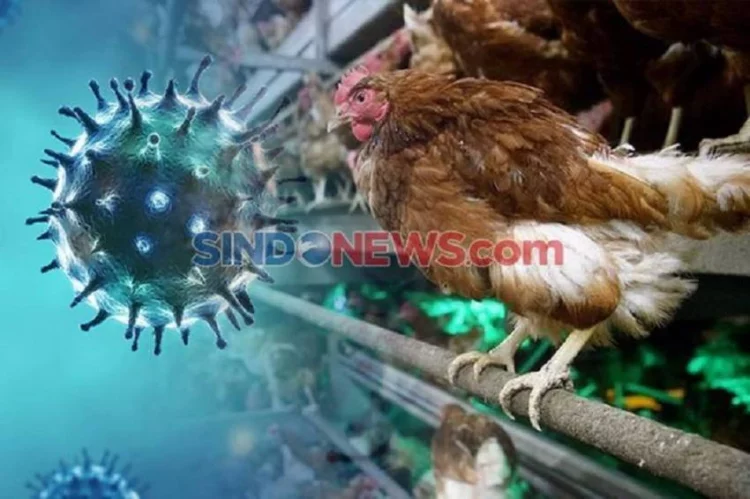 Waspada, China Laporkan Kasus Flu Burung H3N8 Pertama pada Manusia