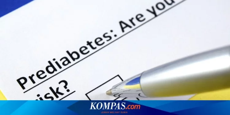 Mengenal Lebih Jauh Apa Itu Kondisi Prediabetes