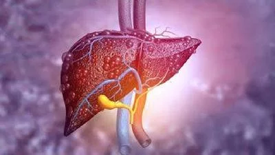 WHO Menemukan Kasus Hepatitis Berat yang Misterius, Berisiko Transplantasi Hati