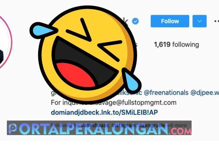 Hanya Netizen Indonesia yang Bisa Membuat Artis Internasional Ganti Profil Instagram Menjadi...
