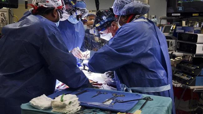 Ahli Duga Pria Penerima Cangkok Jantung Babi Meninggal karena Virus